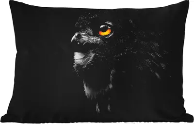Produktbild von MuchoWow® Outdoor Kissen - Eule - Vogel - Schwarz - Porträt - 50x30 cm - Wetterfest - Lounge Kissen - Sofa kissen - Wohnzimmer Dekoration