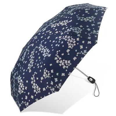 Produktbild von Pierre Cardin Easymatic Papillon Automatik Regenschirm Schirm 82776