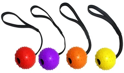 Imagen del producto de Juego de 4 pelotas para perros con cuerda, ideal para actividades