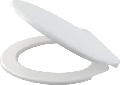 A white toilet seat and lid are shown in an open position against a white background.