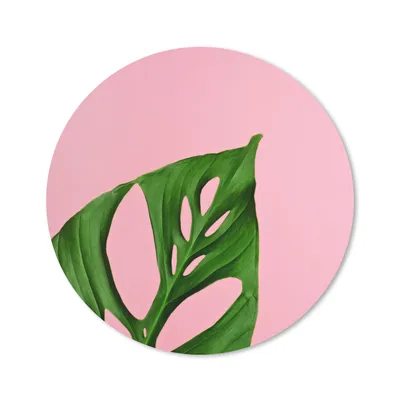 Produktbild von MuchoWow® Mauspad Mousepad Botanisches Blatt auf rosa Hintergrund 20x20 cm - Mousepads - Maus Mat - Pad - Mausunterlage - Schreibtischmatte