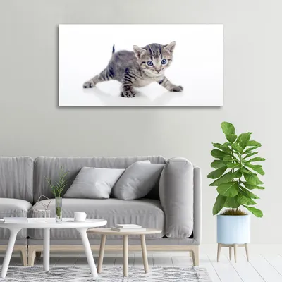 Produktbild von Tulup® Leinwandbild -100x50 cm - Wandkunst - Drucke auf Leinwand - Leinwanddruck  - Tiere - Grau - Kleine Katze