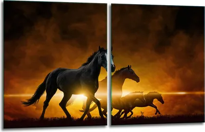 Obrázok produktu pre Kryt varnej dosky 2x40x52 sklokeramická varná doska 2-dielny sklenený splashback kone