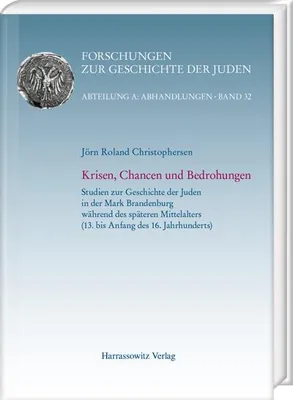 Zdjęcie produktu dla Krisen, Chancen und Bedrohungen