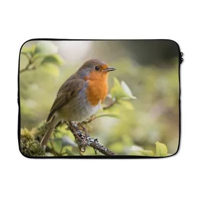 Produktbild von MuchoWow® Laptop Hülle 14 ZollRotkehlchen - Blätter - Zweige Laptoptasche - Laptoptasche - Stoßsicher - Schutzhaube
