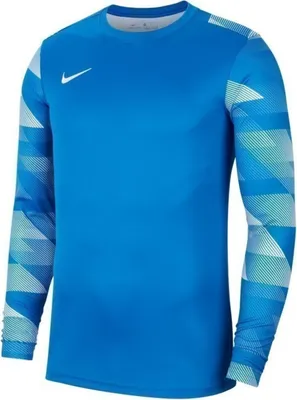 Produktbild von Nike Park IV Torwarttrikot Herren
