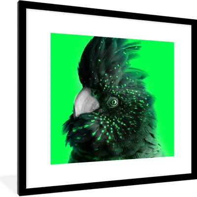 Produktbild von MuchoWow® MuchoWow® Gerahmtes Poster Kakadu - Grün - Schwarz 40x40 cm - Poster mit zchwarzem Bilderrahmen - Poster - Plakat im Rahmen