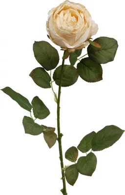Produktbild von Künstliche Seidenrose für Dekoration und Floristik