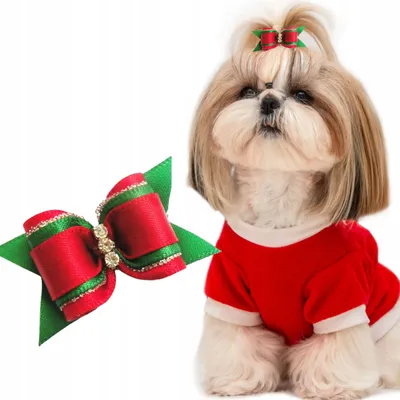 Produktbild von PETSTORY Elegante Hunde-Haarschleife Weihnachten