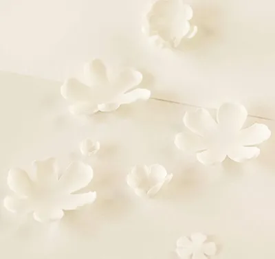 Immagine prodotto di FOAMIRAN 0,8 mm 1 pz 60x70cm EVA schiuma materiali fai da te, 102 bianco antico