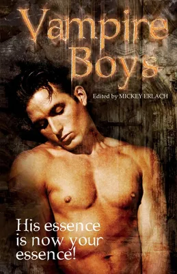 Produktbild von Vampire Boys