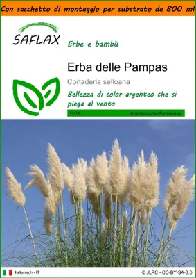 Immagine prodotto di SAFLAX Garden in the bag - Erba delle Pampas - 200 semi - Cortaderia