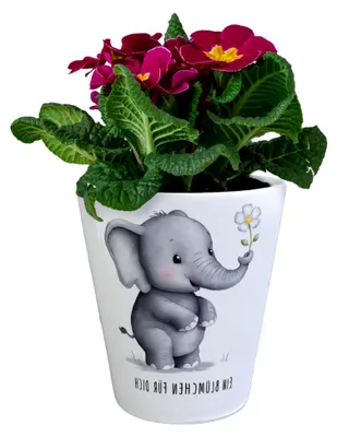 Produktbild von Grauer Elefant - Blümchen für Dich Blumentopf Lustiger Elefanten-Kräutertopf als Garten-Dekoration