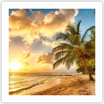 Produktbild von Poster - Poster ohne Rahmen - Strand Meer Palme - 50x50 cm - Wand Bild - Wanddeko - Wandbilder - Kunstposter - Wandposter - Bilder - Kunstdruck - Wanddekoration - Wandbild - P2XAC50x50-3606
