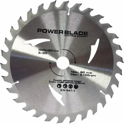Obrázok produktu pre Pílový kotúč 300mm 30T 32mm 00419