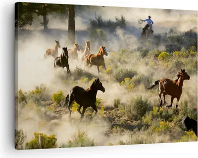Produktbild von Bild auf Leinwand - Leinwandbild - Cowboy Cowgirl Pferd - 70x50cm - Wand Bild - Wanddeko - Leinwanddruck - Bilder - Kunstdruck - Wanddekoration - Leinwand bilder - Wandkunst - AA70x50-2201