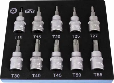 Immagine prodotto di Set di inserti bit Torx, con inserto in schiuma per carrello portautensili, schiuma espansa, schiuma a forma di cubo, modulo per carrelli porta attrezzi, Torx 3/8" T10-T55 lunghezza 50 mm