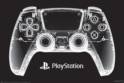Obrázok produktu pre PlayStation Poster XRay Pad 91,5 x 61 cm