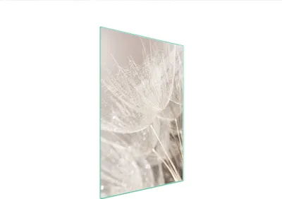 Produktbild von Herdabdeckplatte 35x52 Glaskeramikkochfeld Abdeckung Spritzschutz Glasplatte Deko Schneidebrett Löwenzahn Beige