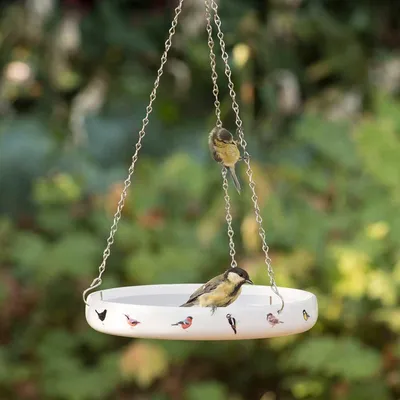 Produktbild von Vogeltränke „Gartenvögel“