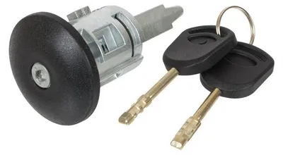 Für Ford Transit 2000-06 Türschloss Schließzylinder VORNE RECHTS + 2x Schlüssel in der Farbe von GOLDCAR