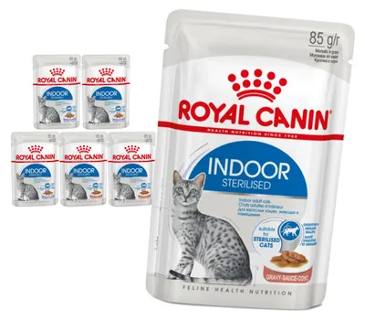Produktbild von Royal Canin Indoor Sterilisiertes Nassfutter in Sauce und Gelee 6x85g für sterilisierte Wohnungskatzen