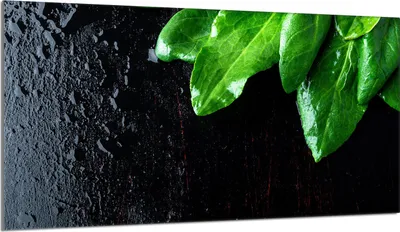 Produktbild von Glas-Herdplattenschutz 90x52 Basil
