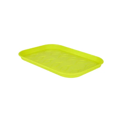 Produktbild von elho green basics Anzucht Untersetzer s - lime grün