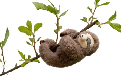 Produktbild von Kuscheltiere Kleiner Liebling Faultier Kleiner Liebling für Dich Stofftier