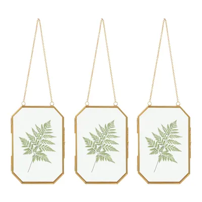 Image de 3Pcs cadre photo en verre 10*15*0.8cm cadre flottant en verre suspendu cadre photo pour fleur pressée (or)