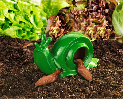 Produktbild von Schneckenfalle Nacktschnecken Beet Falle Schnecken Terrakotta Köder Lebendfalle