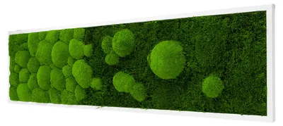 Produktbild von Moosbild River Design (140x40, weiß)