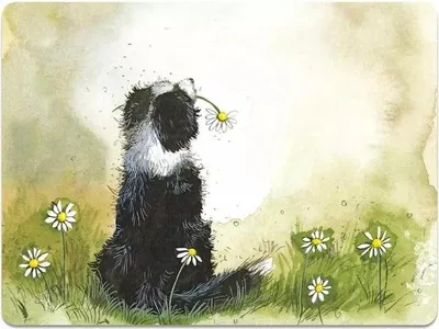 Imagen del producto de Posavasos MT46, diseño de Border collie - Alex Clark