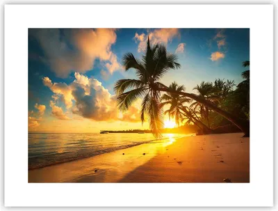 Produktbild von Poster - Poster ohne Rahmen - Meer Strand Palme - 40x30 cm - Wand Bild - Wanddeko - Wandbilder - Kunstposter - Wandposter - Bilder - Kunstdruck - Wanddekoration - Wandbild - P2XAA40x30-3922