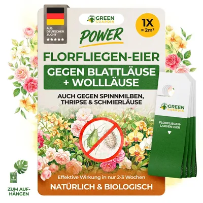 Produktbild von Green Guardia Florfliegenlarven gegen Blattläuse und Wollläuse - 1 Karte für 2m² - Mittel gegen Wollläuse & Blattläuse, Wirksam Blattläuse bekämpfen