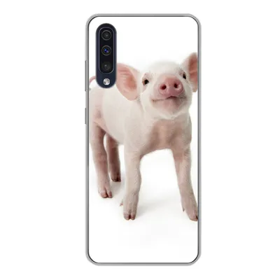 Produktbild von MuchoWow® Handyhülle Schutzhülle Hülle für Samsung Galaxy A50 Schwein - Tiere - Weiß Silikon Softcase Handy Hülle - Mobiltelefonhülle