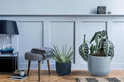 Obrázek produktu pro Květináč - kulatý Milly Květináč do interiéru i exteriéru Plastový květináč 239 mm Barva světle šedá