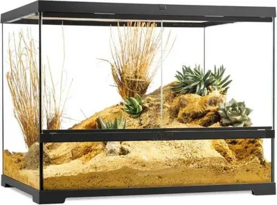 Produktbild von Exo Terra Pro Terrarium M Wide Terrarium 60x45x45cm Golden 60x45x45 cm Golden 60x45x45 cm