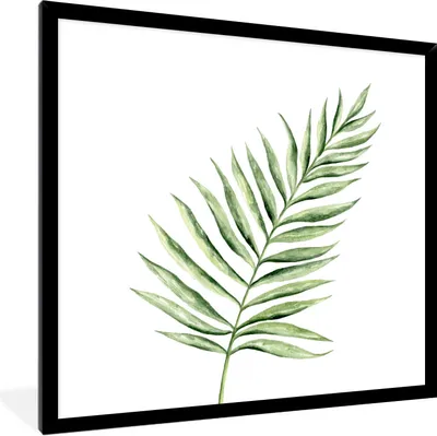 Produktbild von MuchoWow® Gerahmtes Poster Pflanze - Aquarell 40x40 cm - Poster mit Schwarzem Bilderrahmen Wandposter Rahmen Foto Bilder - Mit Rahmen - Wanddekoration Schlafzimmer
