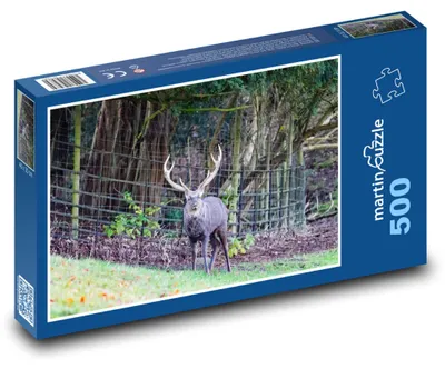 Obrázek produktu pro Puzzle 500 Divoký jelen v lese - martinpuzzle