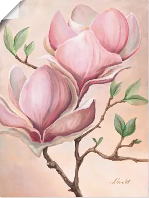 Produktbild von ARTland Poster Magnolienblüten Größe: 30x40 cm