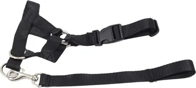 Image de Muselière pour chiens avec laisse de traction, collier réglable, empêche de mordre, d'aboyer, de s'enfuir, S