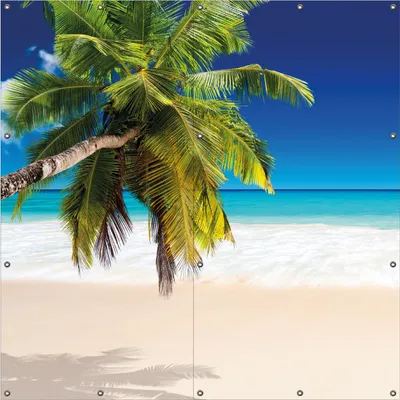 Produktbild von Wallario Outdoor-Poster für Garten oder Balkon, Motiv Südseestrand in der Karibik mit Palme, in ca. 180 x 180 cm