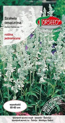 Zdjęcie produktu dla Nasiona szałwii muszkatołowej 0,5g - Torseed