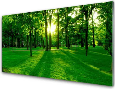 Produktbild von Acrylglasbilder 100x50 Wandbild Druck Wald Natur