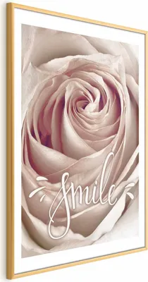 Produktbild von Posterpapier Poster - Smile! 40x60 cm Blumen m-C-0303-ao-a