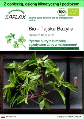Zdjęcie produktu dla SAFLAX - Garden to go - Bio - Tajska Bazylia - 250 Nasiona - Z doniczką, pokrywą klimatyczną i podłożem do uprawy - Ocimum basilicum