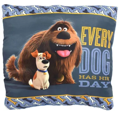 Produktbild von Pets Duke und Max Kinderkissen ca. 30x30 cm hergestellt aus Polyester