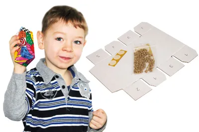 Produktbild von Bastelrassel aus Karton, 6er Pack