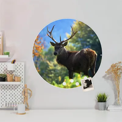 Produktbild von Design Stahlmagnettafel Weiß Rund 47cm Hirsch